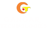 Logo Footer